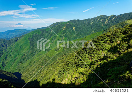 夏の丹沢・表尾根から見る大倉尾根・塔ノ岳と富士山 夏の丹沢・表尾根から見る大倉尾根・塔ノ岳と富士山 40631521