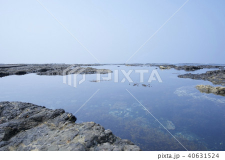 新潟県佐渡市の万畳敷(ゴールデンウィーク) 新潟県佐渡市の万畳敷(ゴールデンウィーク) 40631524