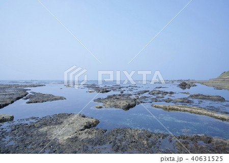 新潟県佐渡市の万畳敷（ゴールデンウィーク） 40631525