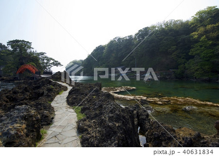 新潟県佐渡市の矢島・経島（ゴールデンウィーク） 40631834