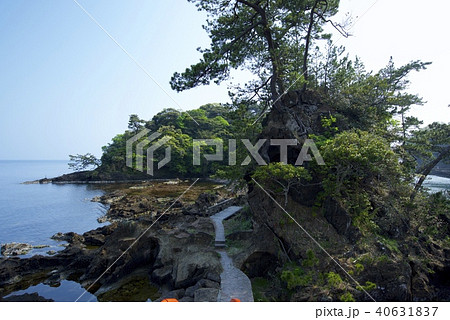 新潟県佐渡市の矢島・経島（ゴールデンウィーク） 40631837