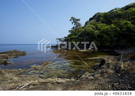 新潟県佐渡市の矢島・経島（ゴールデンウィーク） 40631838