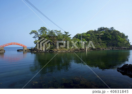 新潟県佐渡市の矢島・経島（ゴールデンウィーク） 40631845