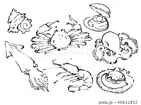 筆で描いた海鮮イラスト 筆で描いた海鮮イラスト 40631852
