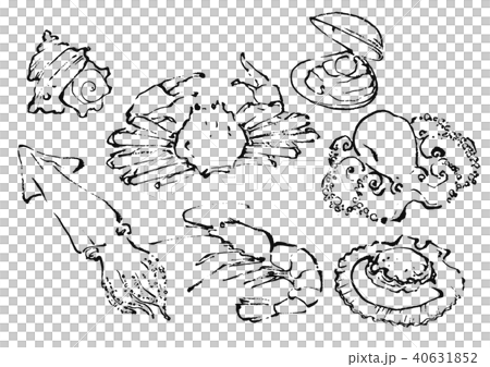 筆で描いた海鮮イラスト 筆で描いた海鮮イラスト 40631852