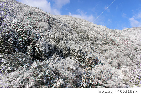 奈良県五條市の雪山 奈良県五條市の雪山 40631937