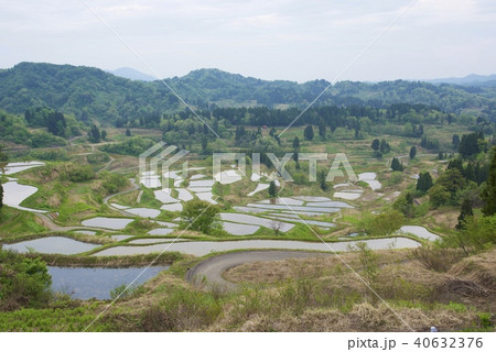 新潟県十日町市の星峠の棚田 ゴールデンウィーク の写真素材