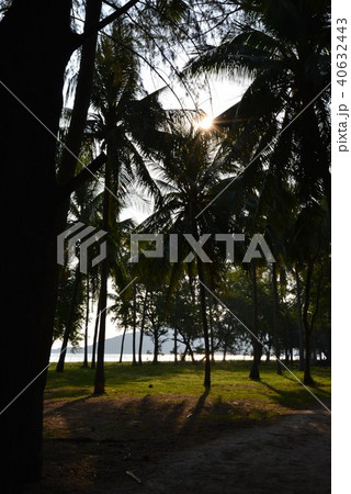 フアヒンビーチ フアヒンビーチ 40632443