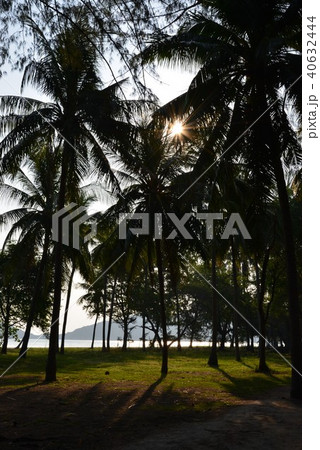 フアヒンビーチ 40632444