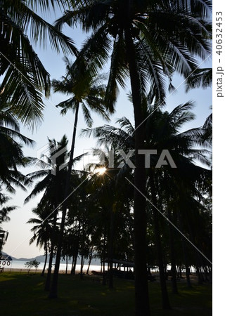 フアヒンビーチ 40632453