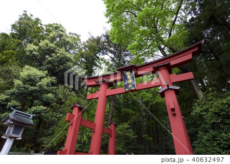 新潟県西蒲原郡弥彦村弥彦の彌彦神社の一の鳥居 ゴールデンウィーク の写真素材 40632497 Pixta