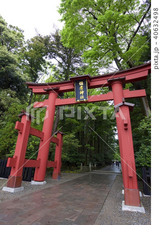 新潟県西蒲原郡弥彦村弥彦の彌彦神社の一の鳥居(ゴールデンウィーク) 新潟県西蒲原郡弥彦村弥彦の彌彦神社の一の鳥居(ゴールデンウィーク) 40632498