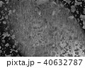 Abstract  background 40632787