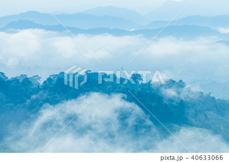 fog cover the trees in the Phang Nga valley fog cover the trees in the Phang Nga valley 40633066