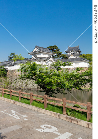 岸和田城 岸和田城 40633348