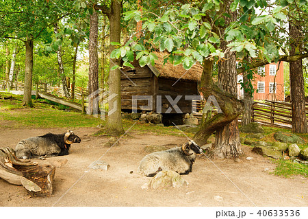 Traditional farm in Sweden 40633536