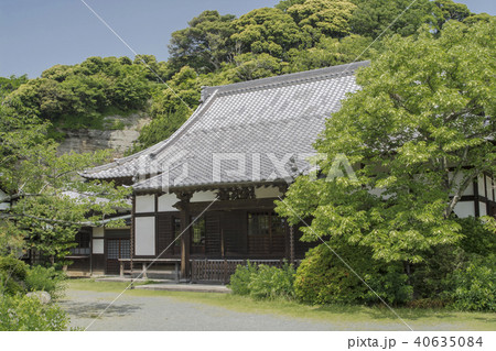 浄光明寺の本堂(鎌倉市扇ガ谷) 浄光明寺の本堂(鎌倉市扇ガ谷) 40635084