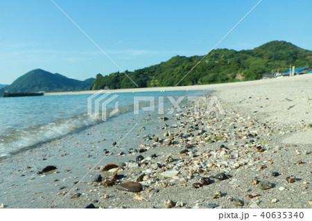 キレイな貝殻探しましょ 40635340