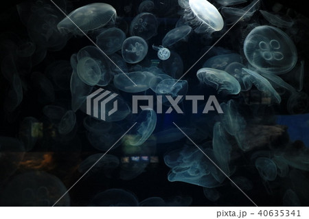 不思議な世界 40635341