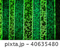 art abstract colorful rainbow pattern background 40635480
