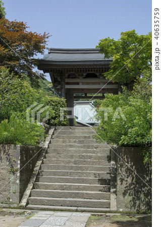 海蔵寺の山門(鎌倉市扇ガ谷) 海蔵寺の山門(鎌倉市扇ガ谷) 40635759