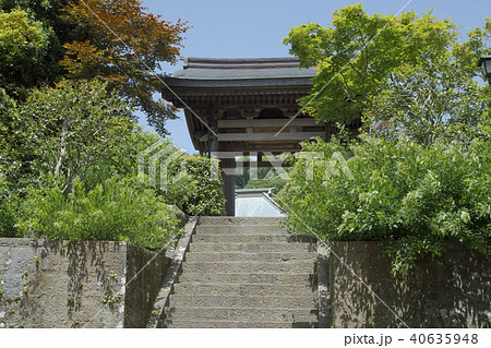 海蔵寺の山門(鎌倉市扇ガ谷) 海蔵寺の山門(鎌倉市扇ガ谷) 40635948