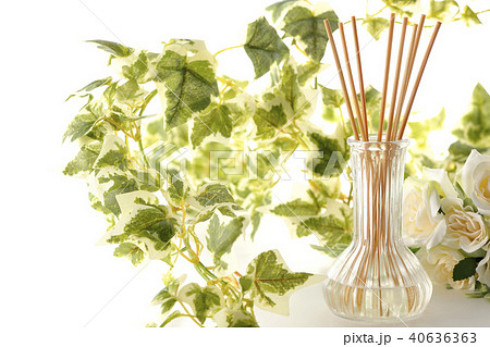 緑と薔薇に囲まれて 40636363