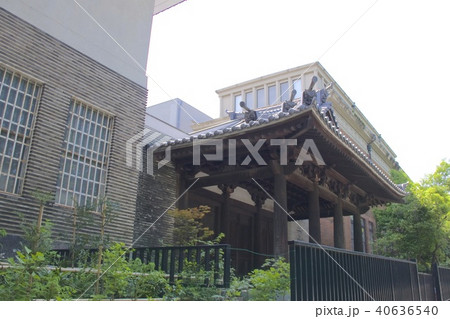 東京藝術大学 東京藝術大学 40636540