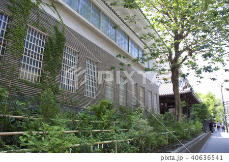 東京藝術大学 東京藝術大学 40636541