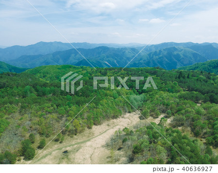 杉ヶ沢高原　兵庫県　養父市 40636927