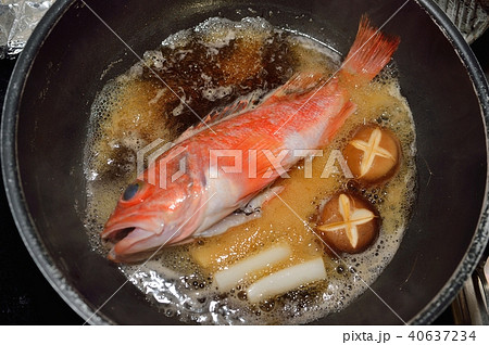 煮魚調理中。チョウカ、ユメカサゴ。フライパンで煮魚を調理。 煮魚調理中。チョウカ、ユメカサゴ。フライパンで煮魚を調理。 40637234
