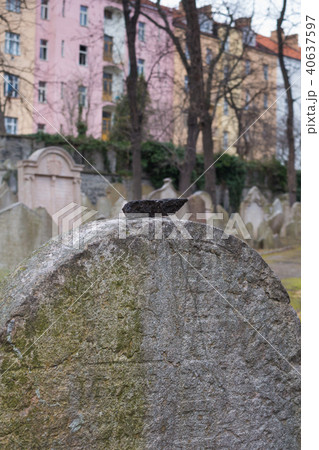 Tombstone, jewish cemetry,Prague,Czech republic 40637597