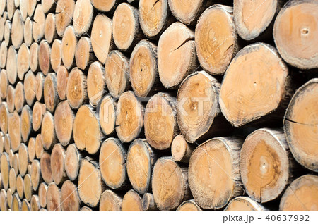 round teak wood stump background round teak wood stump background 40637992