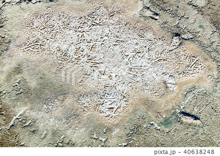 salt crystals on dried clay 40638248