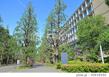 慶応義塾大学　日吉キャンパス 40638560