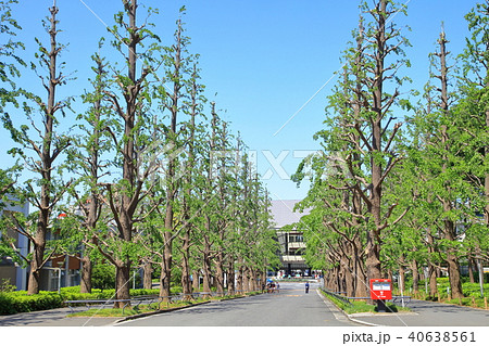 慶応義塾大学　日吉キャンパス 40638561