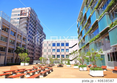 立正大学 品川区 立正大学 品川区 40638587