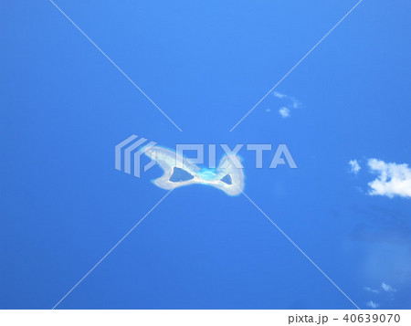 バタフライアイランド 40639070