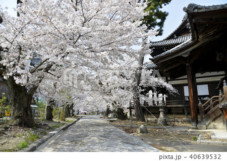 立本寺 刹堂 立本寺 刹堂 40639532