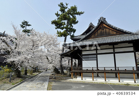 立本寺　本堂 40639534