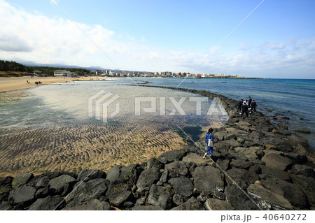 済州市 二胡テウビーチ 海水浴場 40640272