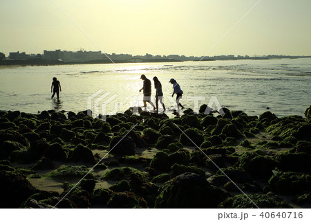 済州市 シルエット 夕焼け 40640716