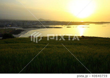 済州市 春 夕焼け 40640759