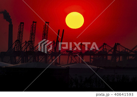 The Rotterdam harbour during sunset - Netherlands 40641593