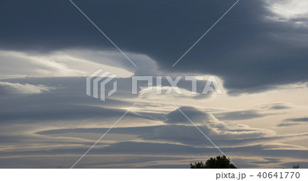 傘雲 40641770