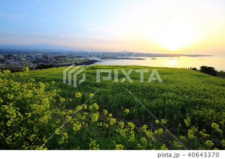 済州市 夕焼け 春 40643370