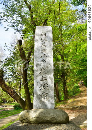新潟 村上城址 新潟 村上城址 40643620