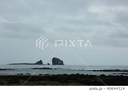 済州市 西帰浦市 岩 40644324