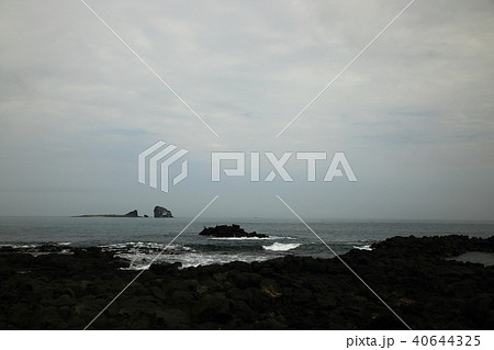 済州市 西帰浦市 岩 40644325