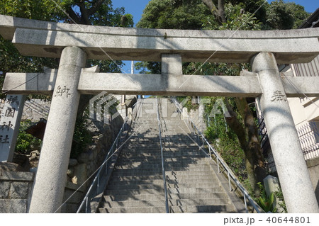 祇園神社 40644801